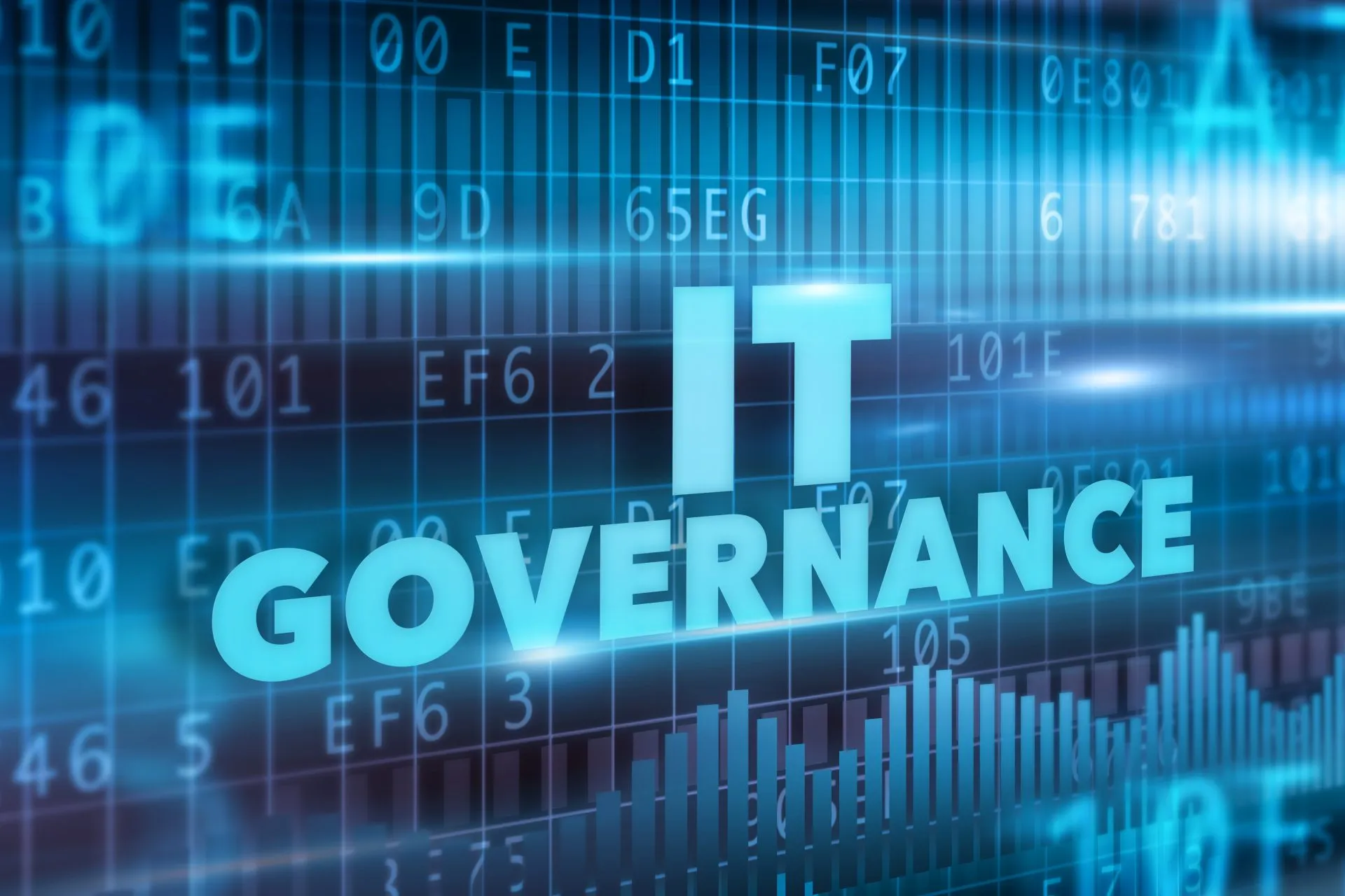 Technology Risk Leadership